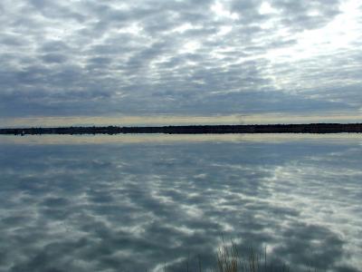 Прикрепленное изображение: bbDSCF5901.jpg